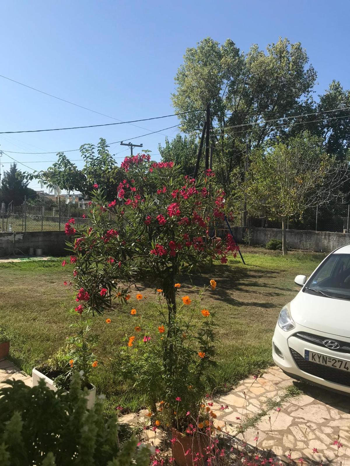 Aristidis Apartment Agios Georgios (Corfu)
